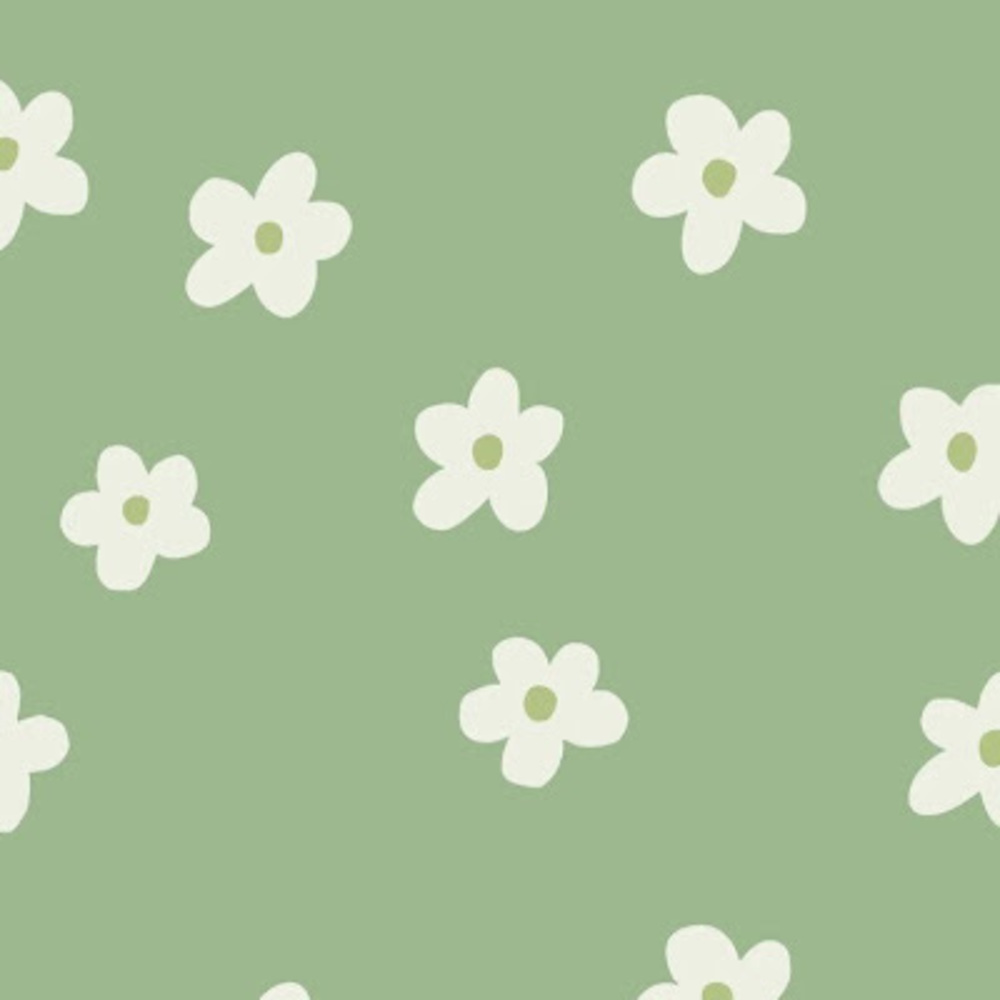 Meet your Posher, Shayplays